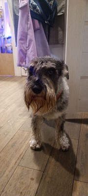 photo_2025-11-18_18-29-59 (2).jpg