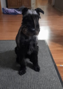 Screenshot_20251129-225101_Video Player.jpg