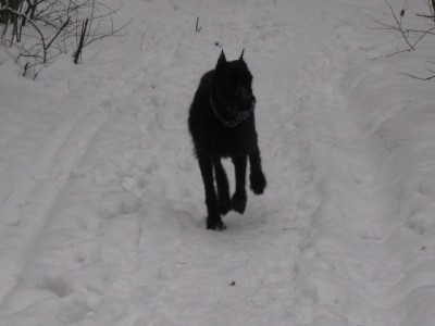 IMG_0874.JPG