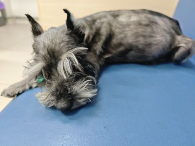 photo_2026-02-15_03-52-11 (2).jpg