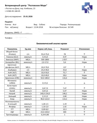 БХ крови 25.01.26.jpg (180.28 КБ) 8918 просмотров БХ крови 25.01.26.jpg