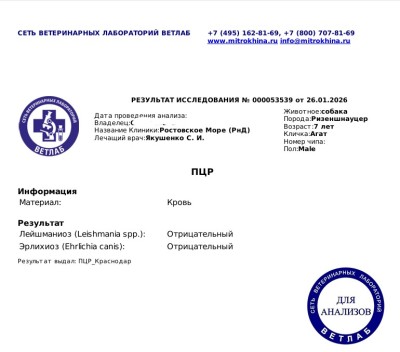 Лейшманиоз и эрлихиоз.jpg (176.96 КБ) 8915 просмотров Лейшманиоз и эрлихиоз.jpg
