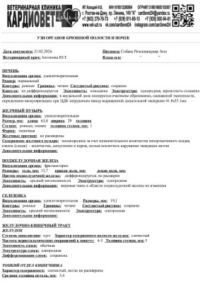 Соколова соб Агат УЗИ-изображения-0.jpg