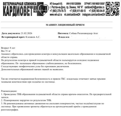 Осмотр 21.02.26.jpg (225.27 КБ) 8911 просмотров Осмотр 21.02.26.jpg