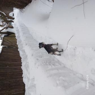 2026-02-28 14-46-42.JPG