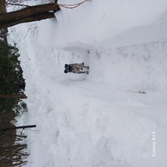 2026-02-28 15-17-57.JPG