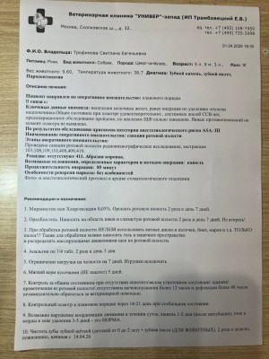 IMG_20260401_191943_030.jpg