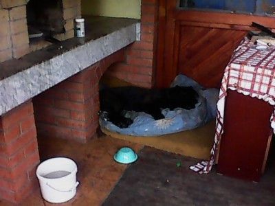 IMG0319A.jpg