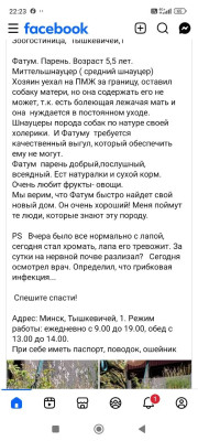 фото свежее - из гостиницы
