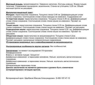 IMG_3252.jpeg
