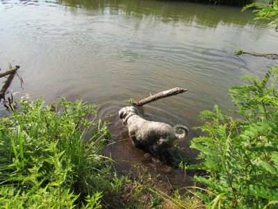 IMG_8368copy.jpg