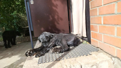 лтдло.jpg