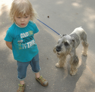 Brownie Balty Walk.png