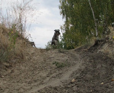 IMG_8717copy.jpg