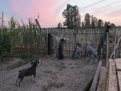 IMG_9070copy.jpg