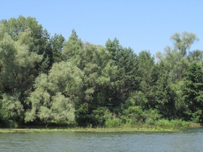 IMG_8958copy.jpg