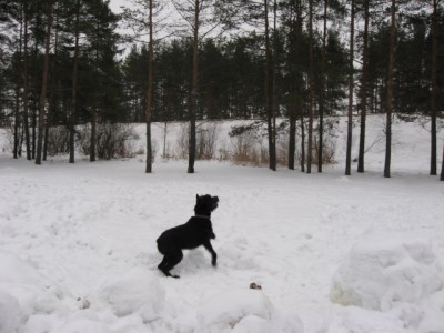 IMG_0890.JPG