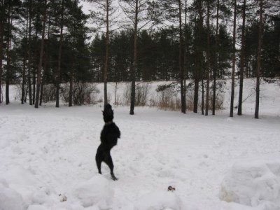 IMG_0891.JPG