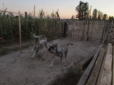 IMG_9270copy.jpg