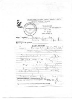 назначения беланта.jpg