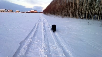 WP_20130312_007.jpg