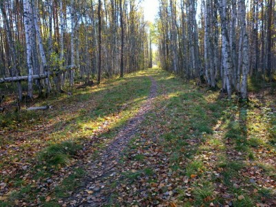 2015-10-11-0543.jpg