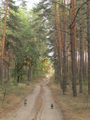IMG_9918copy.jpg