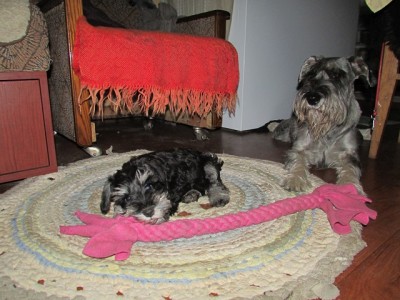 IMG_9694copy.jpg