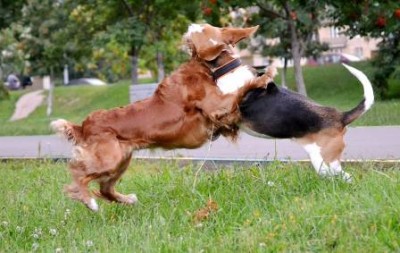 Две подружки, на фотографии видно, что в форме девушки, без грамма лишнего веса)))