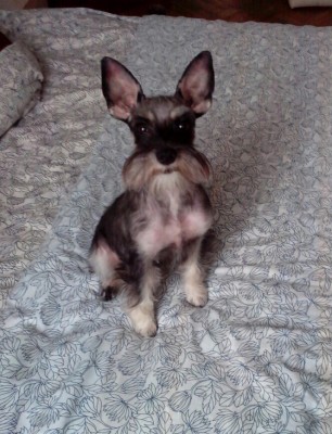 Масяня, наши дни :))))