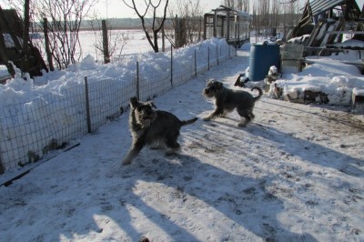 IMG_0445copy.jpg