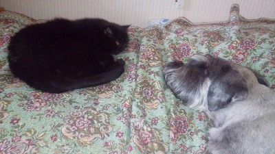 20160413_100354.jpg