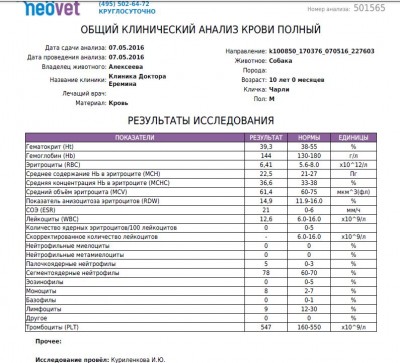 общий анализ крови.JPG