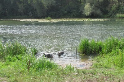 IMG_1512copy.jpg