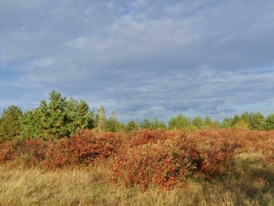 Но все же осень