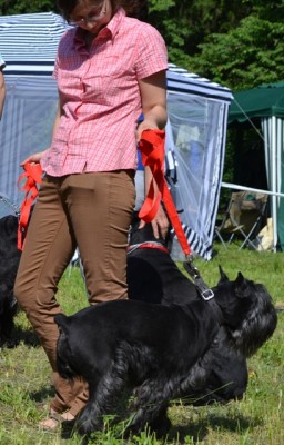 DSC_0378.JPG
