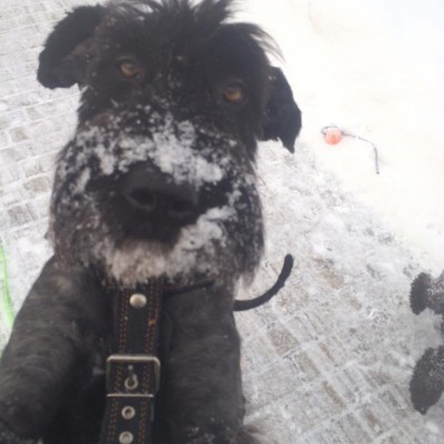 Сальвадор дали в Хане