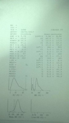IMG-20170128-WA0017.jpg