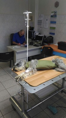 Очухиваемся