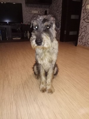 Осип дома1.jpg