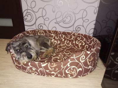 Осип дома.jpg