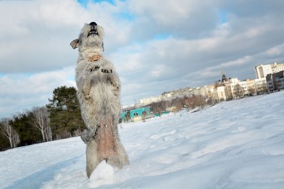 Зайчик