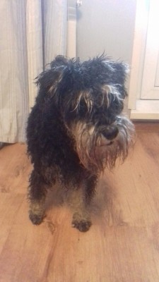 Фото паренька