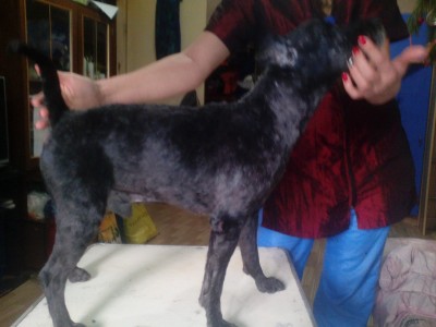 После стрижки