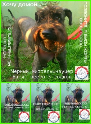 новый коллаж3.jpg