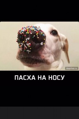 IMG_0705.JPG