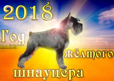 2 солнце-.jpg
