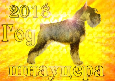 3 солнце-.jpg