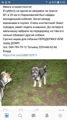 IMG-c1d25040ed32456f51ff787c546dde04-V.jpg