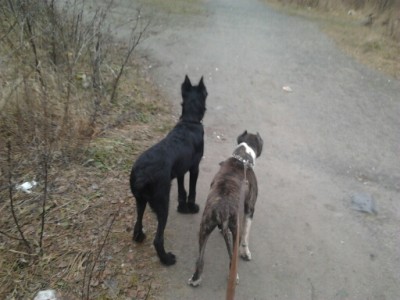 2013-11-19_15.57.38.jpg